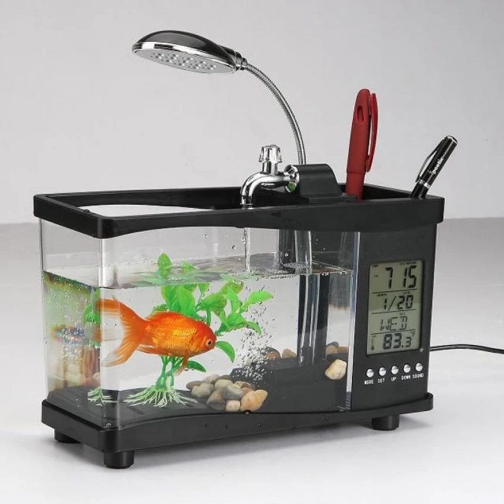 Bể cá nhỏ kết hợp với đồng hồ báo thức và đèn tiện lợi